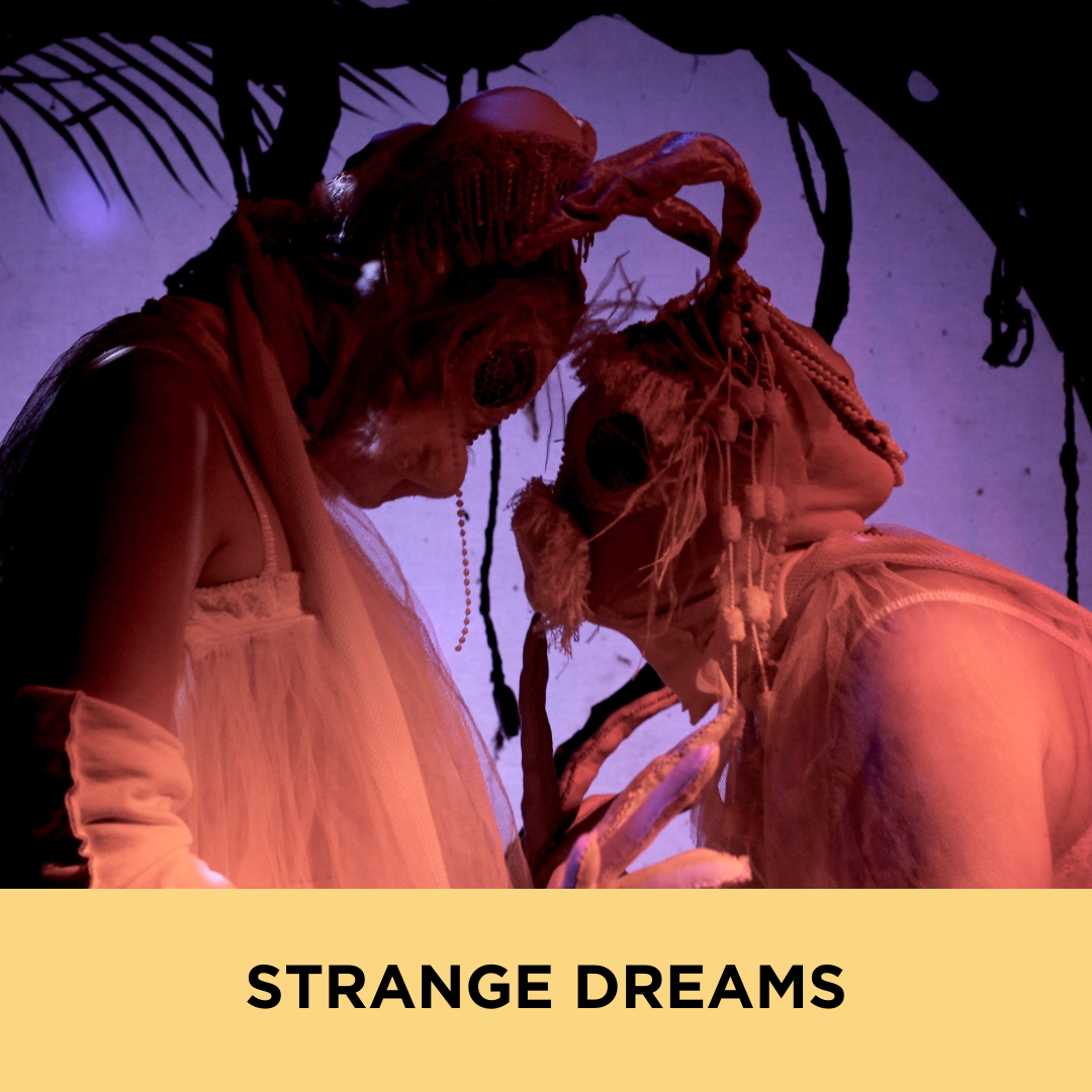 STRANGE DREAMS