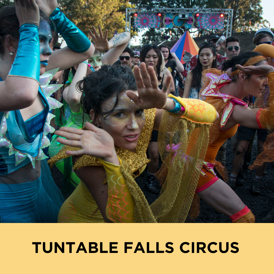 Tuntable Falls Circus